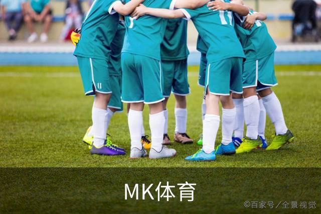 MK体育公司介绍
